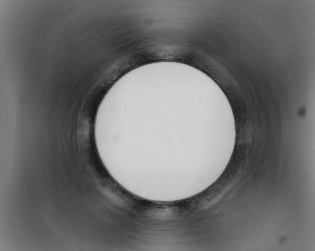 X0000100410646200807032039