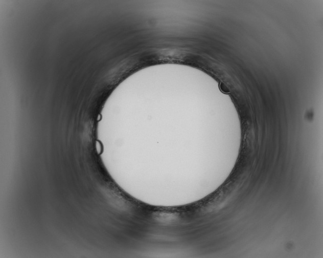 X0000100410649200807032039