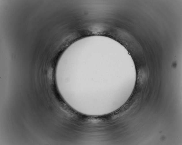 X0000100410650200807032039