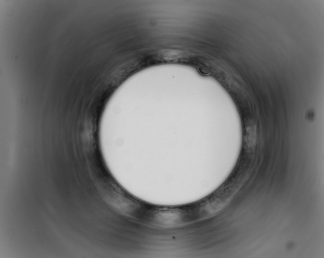 X0000100410653200807032039