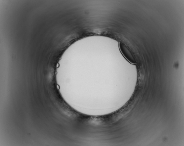 X0000100410656200807032039