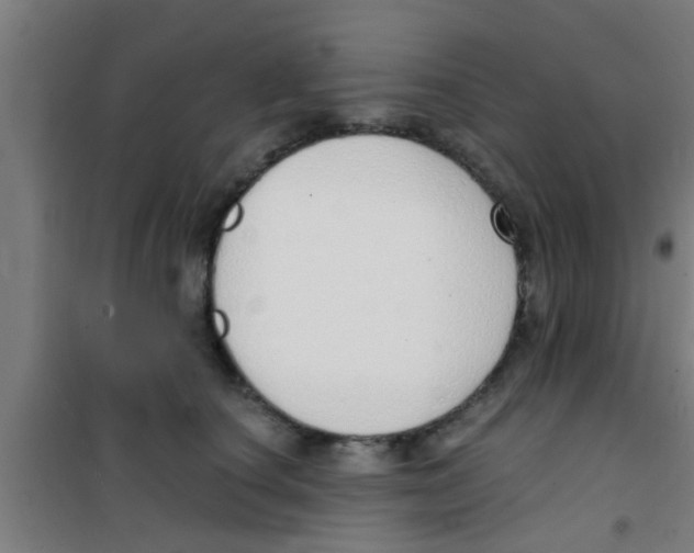 X0000100410660200807032039