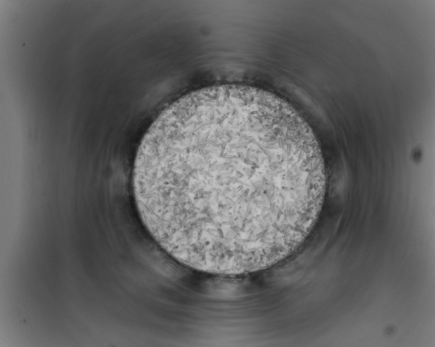 X0000100410661200807032039