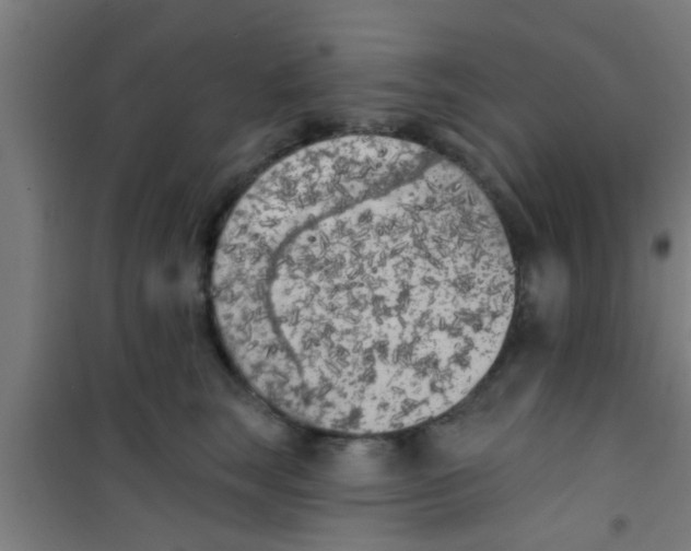 X0000100410663200807032039