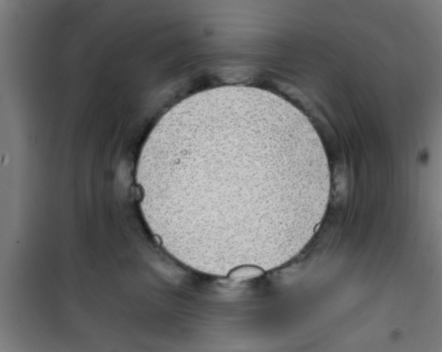 X0000100410667200807032039