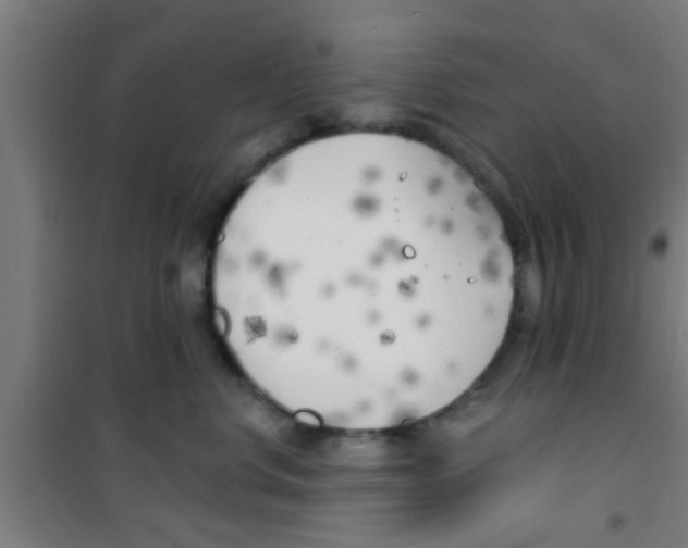 X0000100410668200807032039