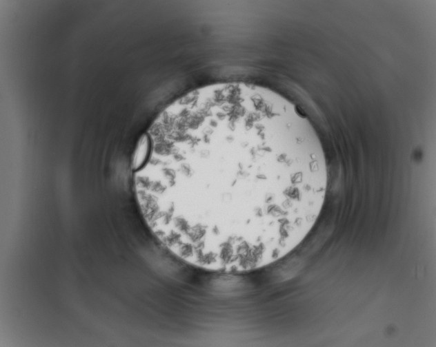 X0000100410669200807032039