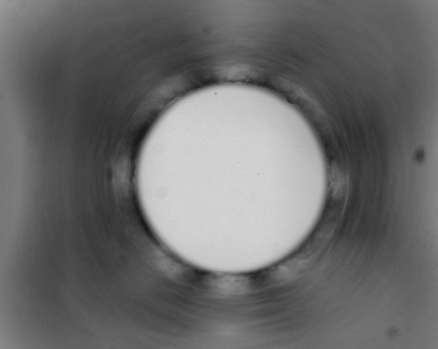 X0000100410670200807032039