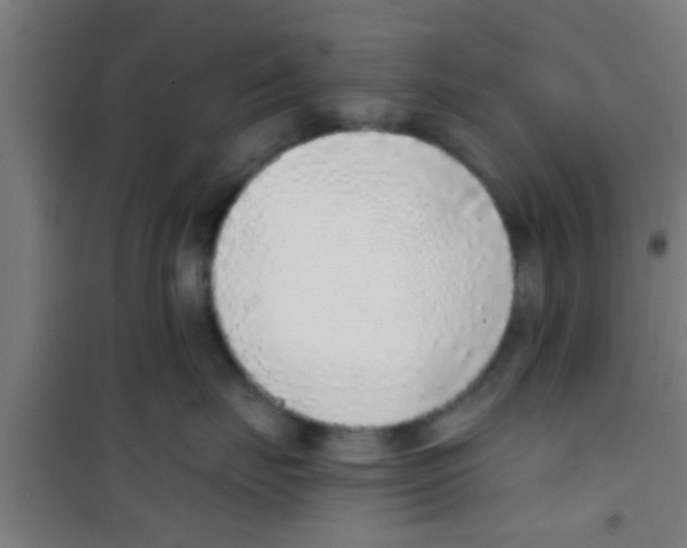 X0000100410671200807032039
