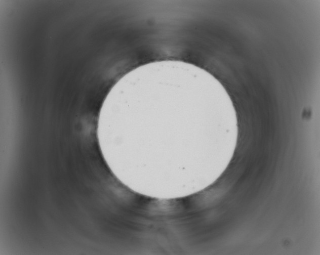 X0000100410672200807032039