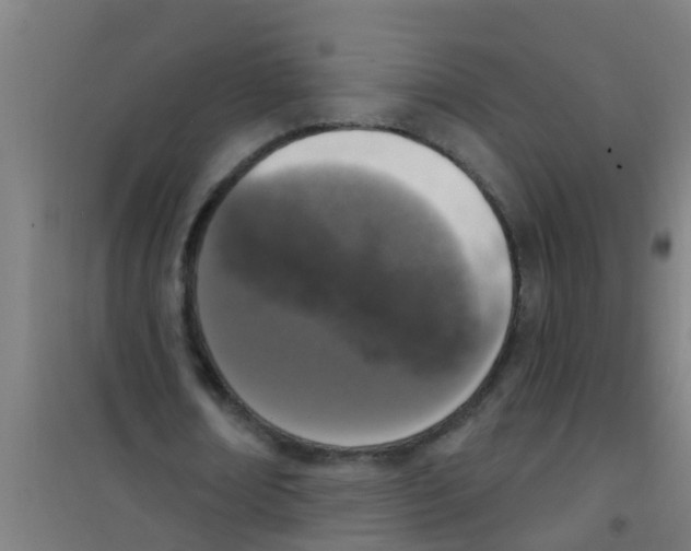 X0000100410674200807032038