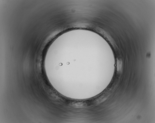 X0000100410675200807032038
