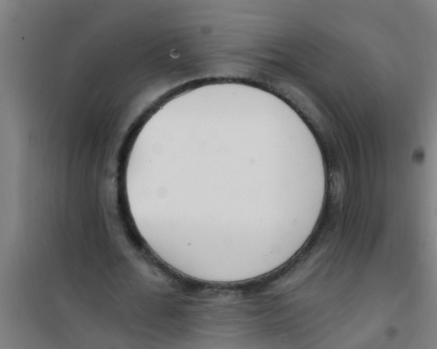 X0000100410676200807032038