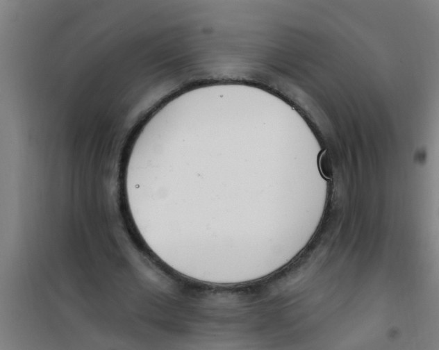 X0000100410677200807032038