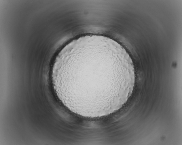 X0000100410679200807032038