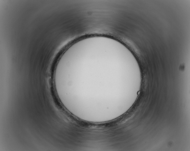 X0000100410680200807032038