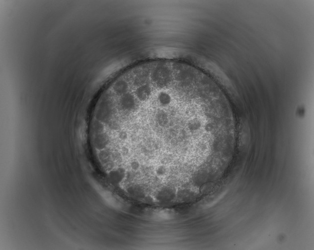 X0000100410683200807032038