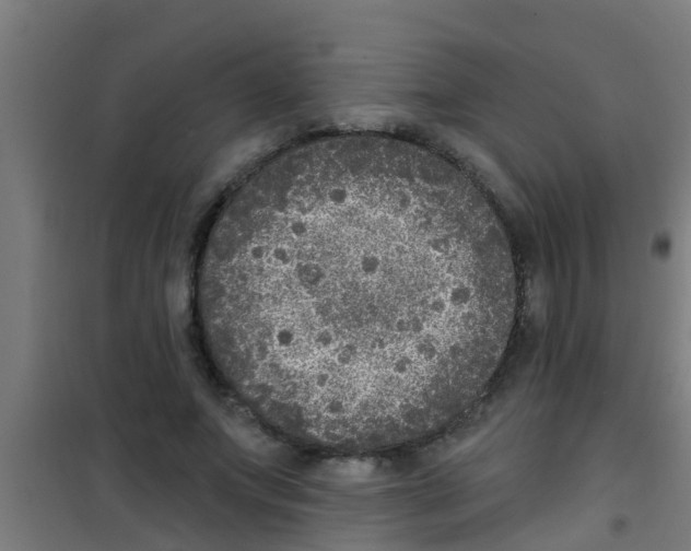 X0000100410687200807032038