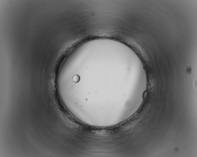 X0000100410688200807032038