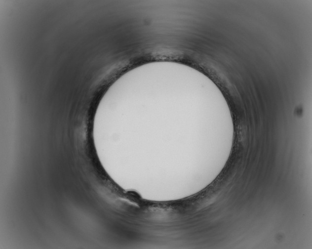 X0000100410690200807032038