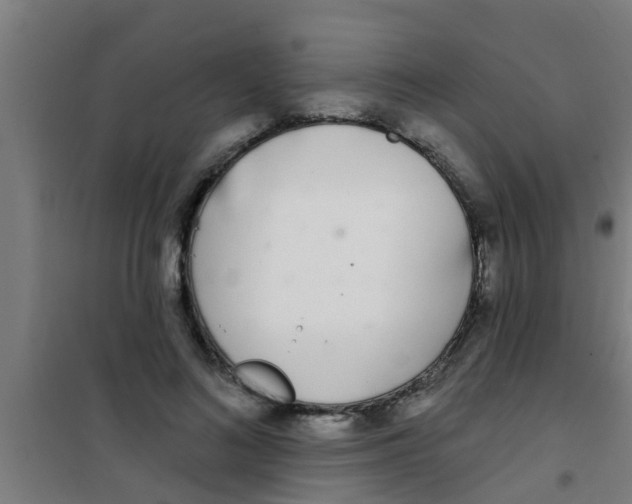 X0000100410692200807032038