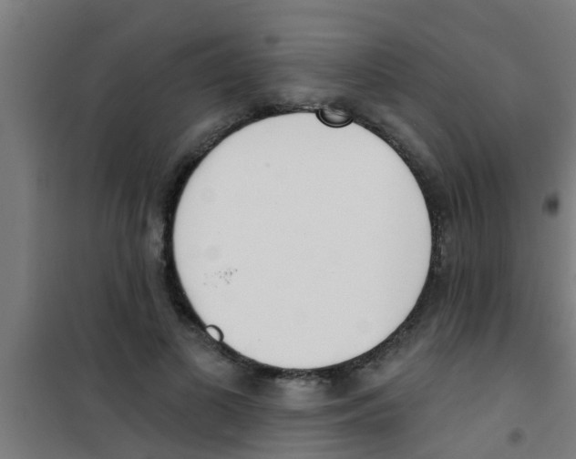 X0000100410693200807032038