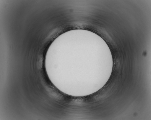 X0000100410694200807032038