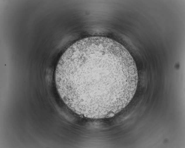 X0000100410695200807032038