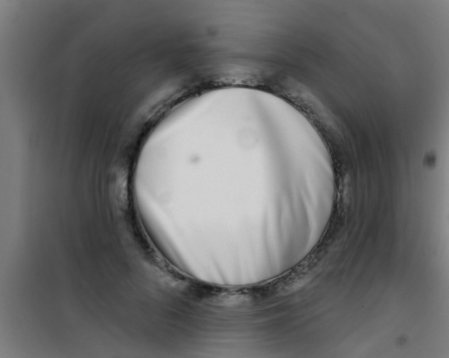 X0000100410696200807032038