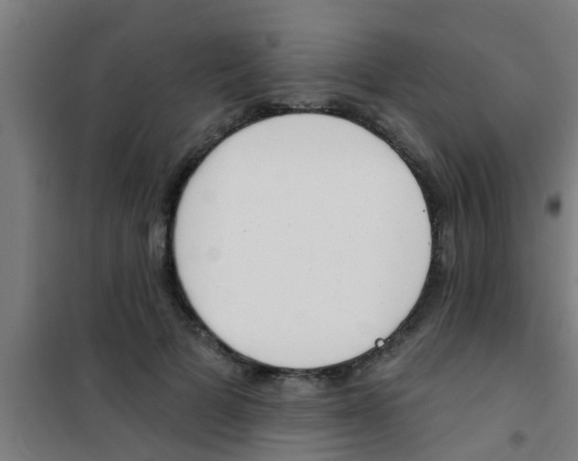 X0000100410697200807032038
