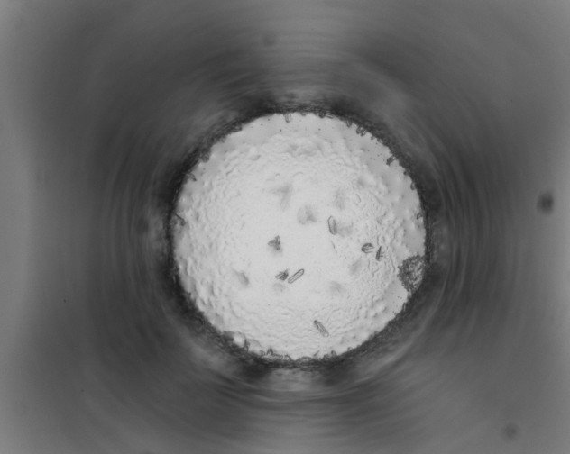 X0000100410699200807032038