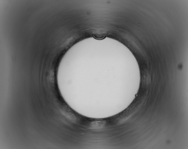 X0000100410700200807032038