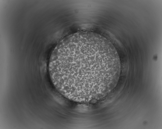 X0000100410703200807032038