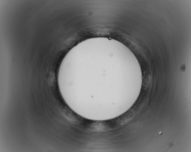 X0000100410704200807032038