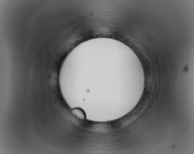 X0000100410708200807032037