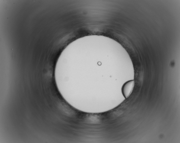 X0000100410710200807032037