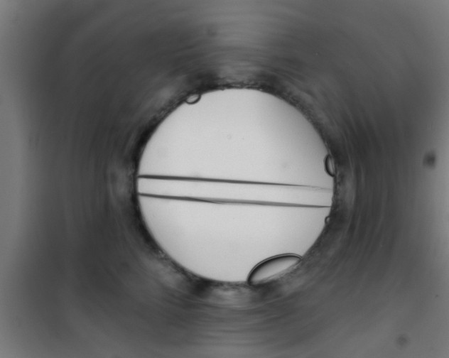 X0000100410712200807032037