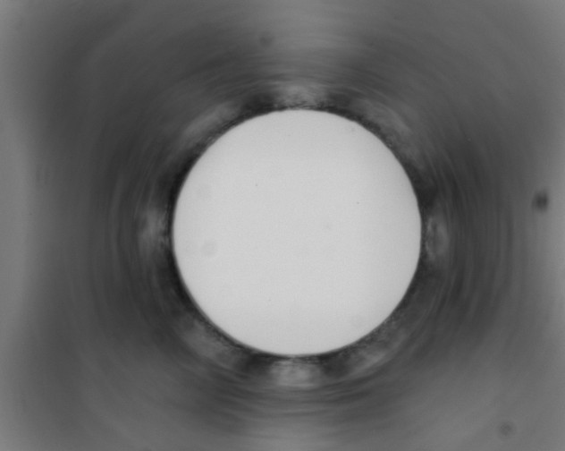X0000100410714200807032037