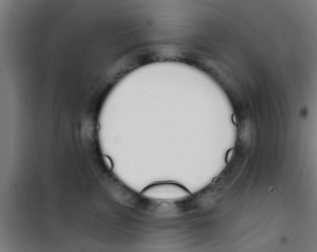 X0000100410715200807032037