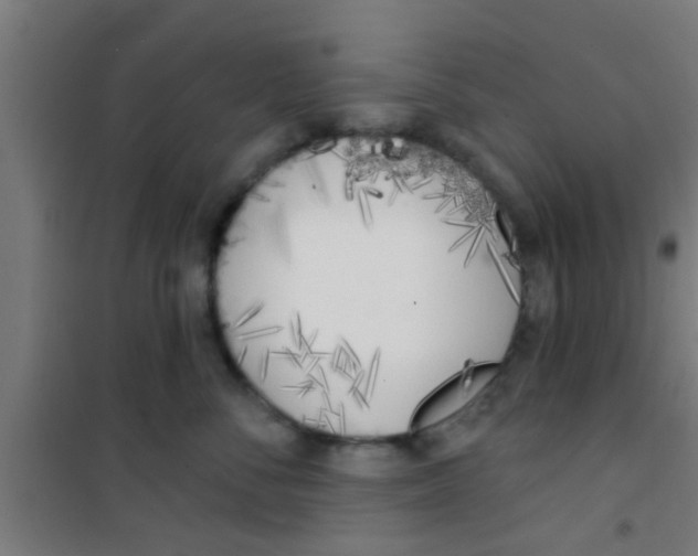 X0000100410716200807032037