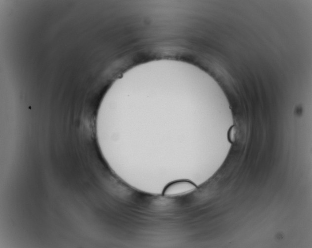 X0000100410718200807032037