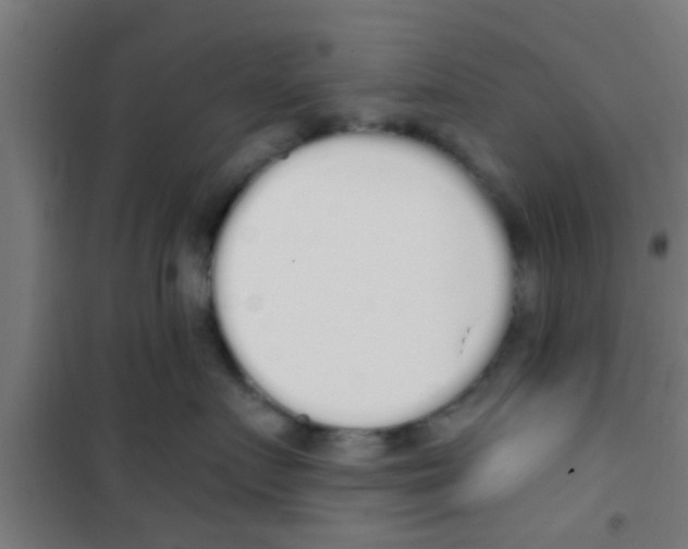 X0000100410719200807032037