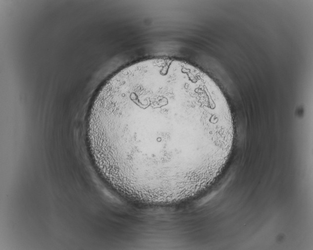 X0000100410721200807032036