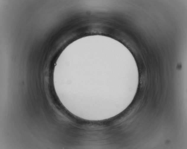 X0000100410722200807032036