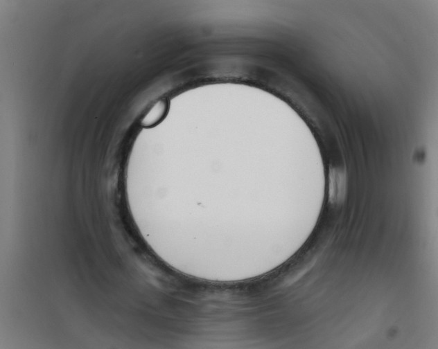 X0000100410723200807032036