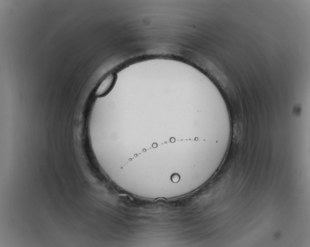 X0000100410724200807032036