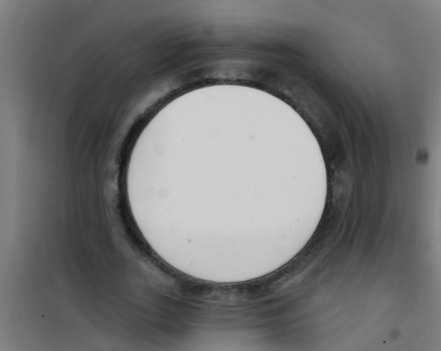 X0000100410727200807032037