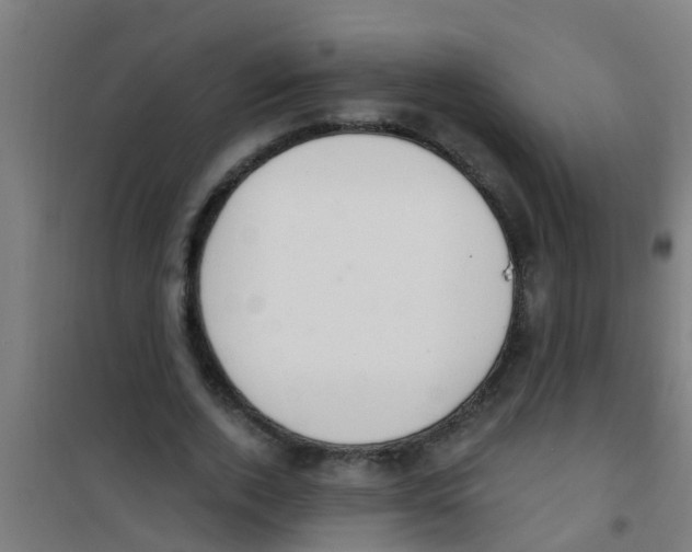 X0000100410728200807032037