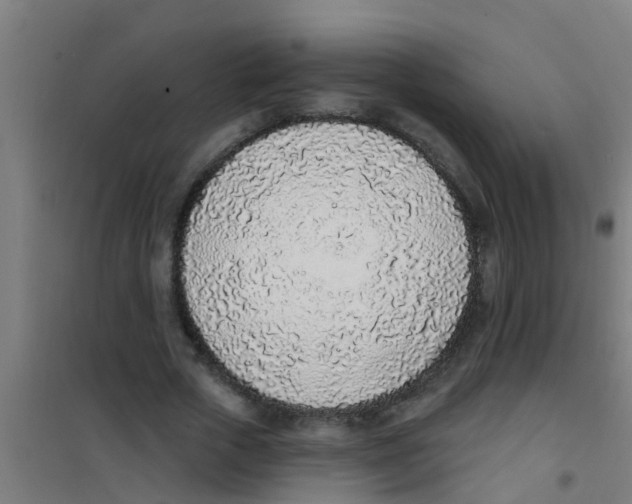 X0000100410729200807032037