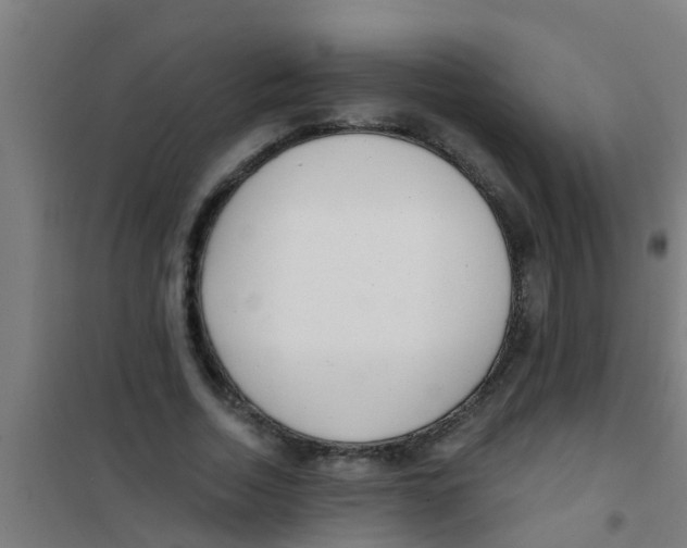 X0000100410730200807032037